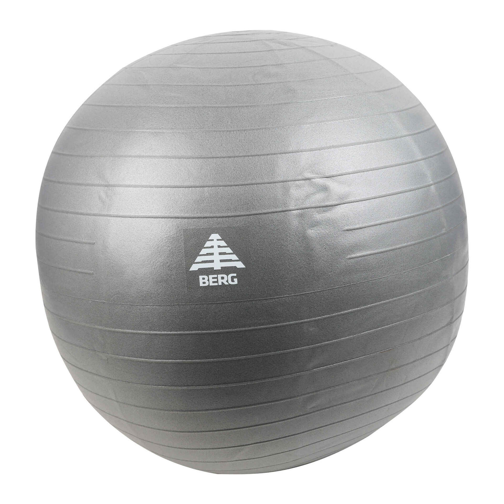 Bola de Exercícios 65cm - Acte - Theravita Theravita Produtos para Saúde