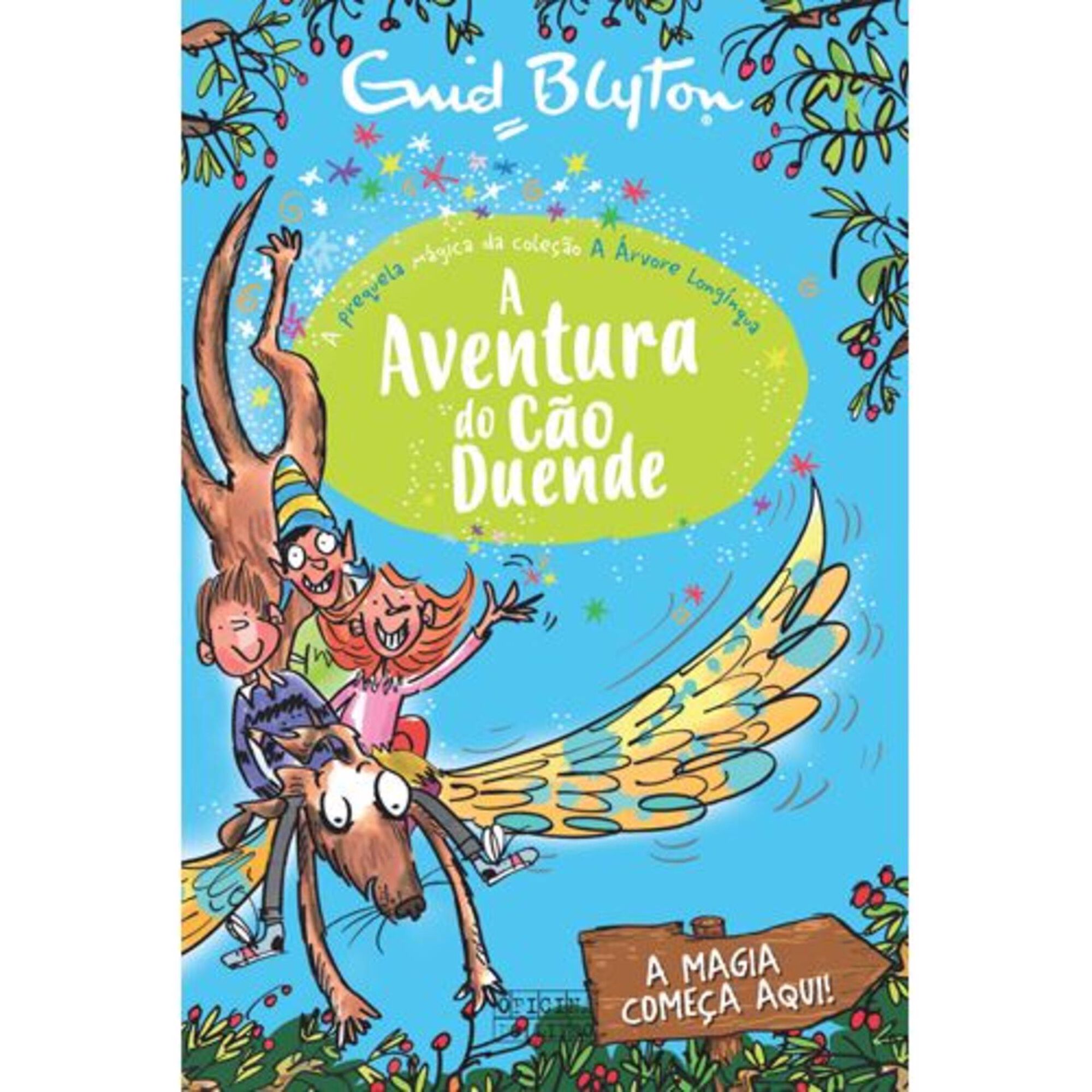 A Aventura do Cão Duende de Enid Blyton - Livro - WOOK