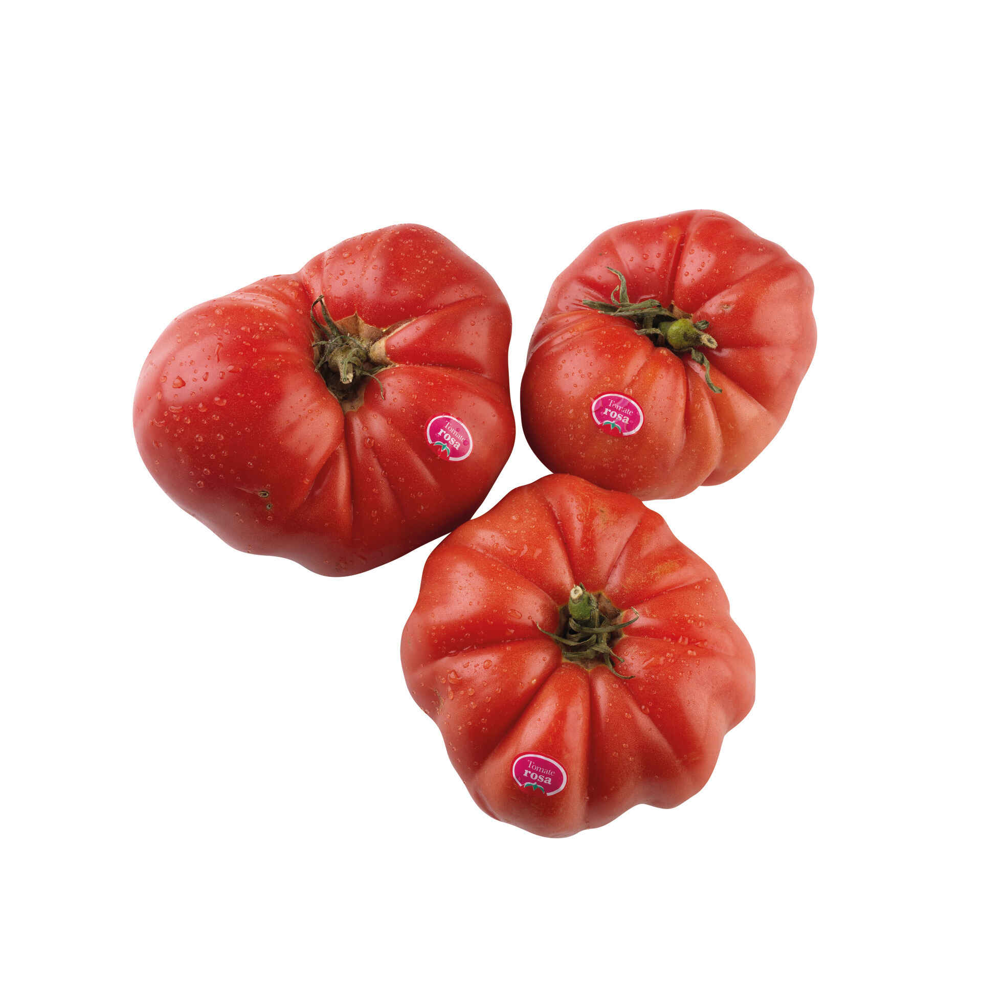 rosa Tomate